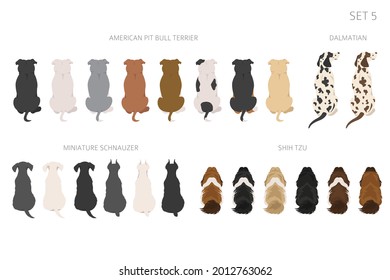 Sitting dogs backside clipart, rear view. Diifferent coat colors variety. Pet graphic design for dog lovers. Vector illustration