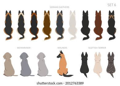 Sitting dogs backside clipart, rear view. Diifferent coat colors variety. Pet graphic design for dog lovers. Vector illustration