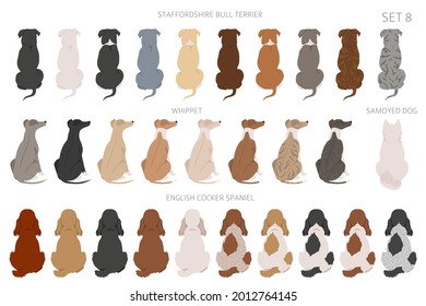 Sitting dogs backside clipart, rear view. Diifferent coat colors variety. Pet graphic design for dog lovers. Vector illustration