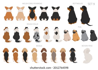 Perros sentados en la parte trasera, vista trasera. Diferentes colores de abrigo varian. Diseño gráfico de mascotas para los amantes del perro. Ilustración del vector