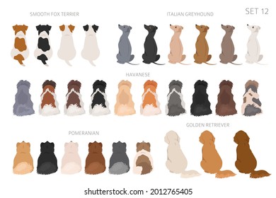 Perros sentados en la parte trasera, vista trasera. Diferentes colores de abrigo varian. Diseño gráfico de mascotas para los amantes del perro. Ilustración del vector