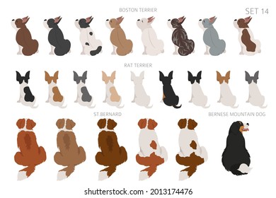 Sitting dogs backside clipart, rear view. Diifferent coat colors variety. Pet graphic design for dog lovers. Vector illustration