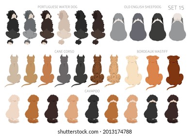 Sitting dogs backside clipart, rear view. Diifferent coat colors variety. Pet graphic design for dog lovers. Vector illustration