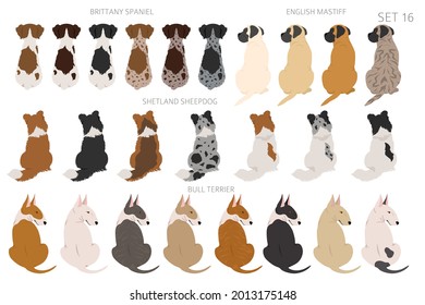 Sitting dogs backside clipart, rear view. Diifferent coat colors variety. Pet graphic design for dog lovers. Vector illustration