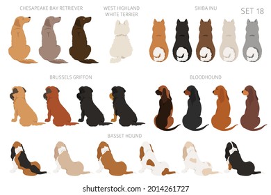 Perros sentados en la parte trasera, vista trasera. Diferentes colores de abrigo varian. Diseño gráfico de mascotas para los amantes del perro. Ilustración del vector