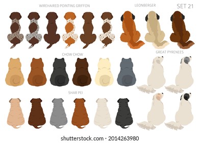 Sitting dogs backside clipart, rear view. Diifferent coat colors variety. Pet graphic design for dog lovers. Vector illustration