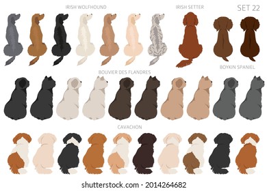 Perros sentados en la parte trasera, vista trasera. Diferentes colores de abrigo varian. Diseño gráfico de mascotas para los amantes del perro. Ilustración del vector