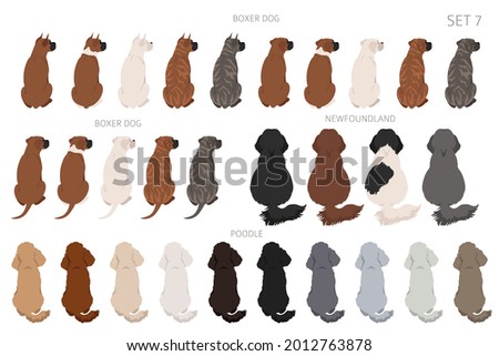 Sitting dogs backside clipart, rear view. Diifferent coat colors variety. Pet graphic design for dog lovers. Vector illustration