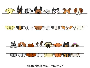 sitting dogs with board in their mouths