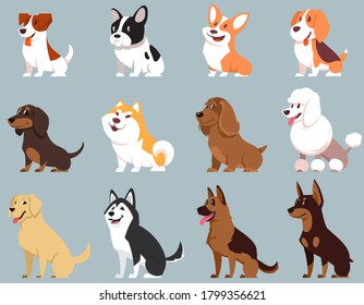 Sitting dogs of different breeds. Big set of cute pets.