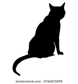猫のシルエット の画像 写真素材 ベクター画像 Shutterstock