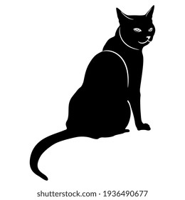 Sitting domestic cat. Black and white silhouette. Isolated vector illustration. 