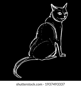 Sitting domestic cat. Hand drawn rough sketch. White silhouette on black background.