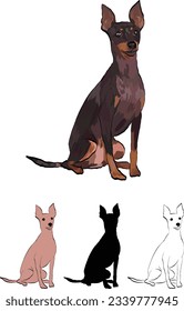 Sitting English toy terrier detailed drawn dog. Cute side view pet. Logo design, dog silhouette and outlines, dog stroke. Pet character postcard art. Funny dog mascot. Detailed small pet illustration