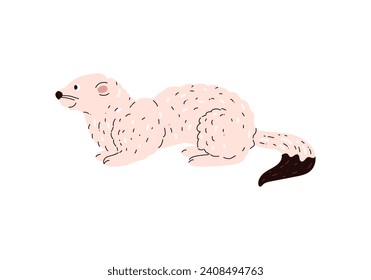 Sitting ermine tundra Tier einzelne Vektorgrafik. Fleischfresser im Norden lagern. Handgezeichnete weiße, flauschige Schale.