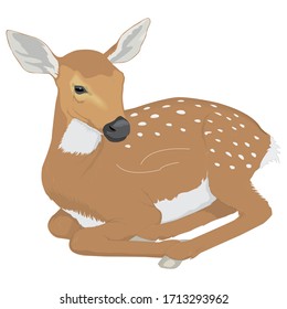 sitting female Female Deer with a big horn Cartoon Animal Template Icon