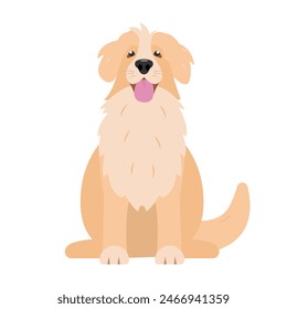 Sitting fluffy Dog front view. Happy dog icon. Golden labrador retriever funny pet home animal. Vector illustration isolated on white background.