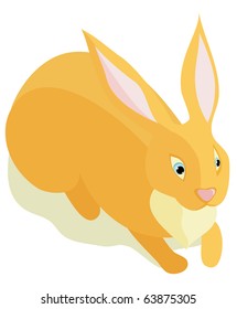 Sitting fluffy rabbit on a white background