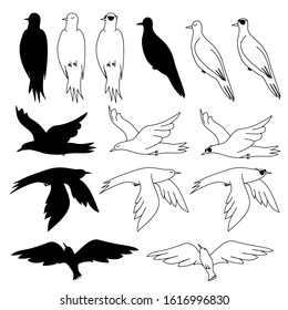 Sitting and flying birds isolated. Vector graphics.