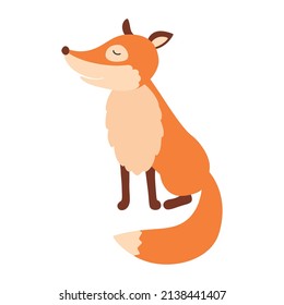 Sitting fox isolated on a white background.