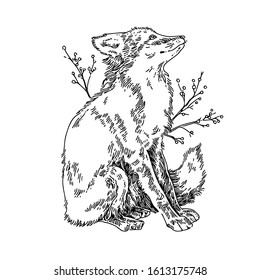 Sitting fox. Sketch. Engraving style. Vector illustration.