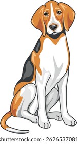 Sitting foxhound isolated on white. Vector