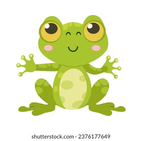 Sitting Frog Amphibian Vector Illustration