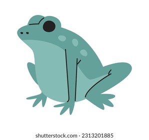 Sitting Frog Animal Vector Illustration