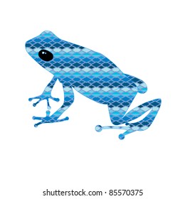 Sitting frog in the blue snake skin