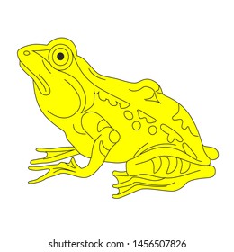 Sitting frog. Heraldry. Hand drawn vector illustration isolated on white.