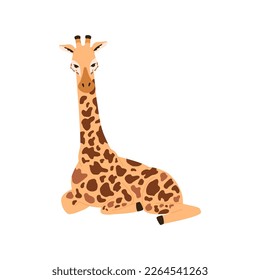 Sitting giraffe cartoon character, flat vector illustration isolated on white background. African savanna giraffe, wild animal character for summer prints and design.