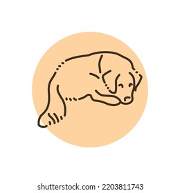 Sitting golden retriever adult color line icon. Pictogram for web page