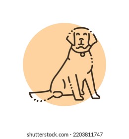 Sitting golden retriever adult color line icon. Pictogram for web page