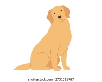 Ein sitzender Golden Retriever. Flache Vektorgrafik einzeln auf weißem Hintergrund
