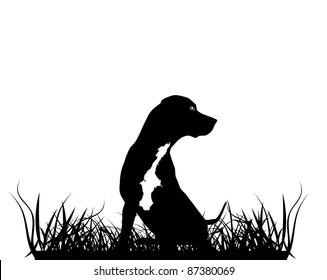 Sitting Leopard Catahoula Dog Silhouette in Grass