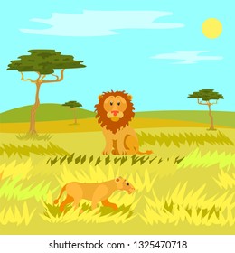 Sitting lion on grassland, wildlife dangerous animal in african field and hills. Panorama view of savannah with kenya, sunny weather, mammal vector