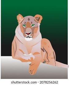 Sitting Lioness on The Hill in The Night in Vector