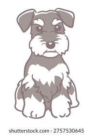 Sitting Miniature Schnauzer, cute vector illustration.