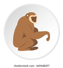 Sitting monkey icon in flat circle isolated on white background vector illustration for web