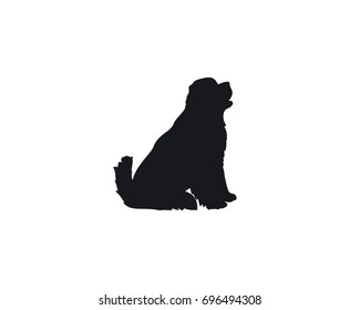 sitting newfoundland dog vector