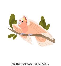 Major Mitchell cockatoo sitting on branch, fluffed crest, spread his wings. Australian parrot with pink feathers. Tropical bird, exotic pet, cute animal. Flat isolated vector illustration on white.