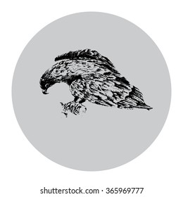 Sitting on a branch of a hawk. Hand graphics