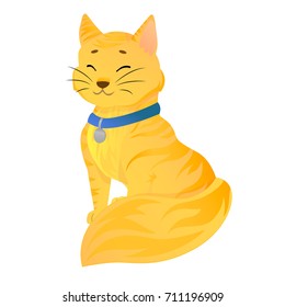 Sitting orange cat with a blue collar