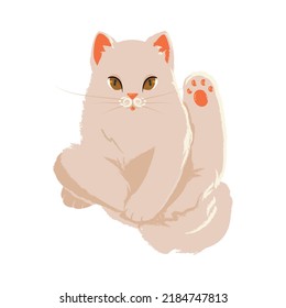 Sitting peachy cat with its leg up, washing cat. Vector illustration for blog, cat products, advertising