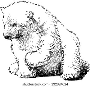 sitting polar bear