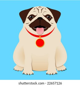 Sitting pug - vector