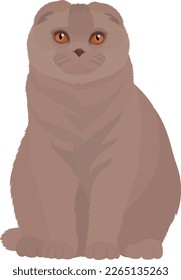 Sitting purebred cat with yellow eyes