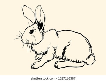 Sitting rabbit. Vector hand drawed sketch style illustration.