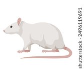 Sitting Rat front view. Rat isolated on white background. Rat icon Vector illustration