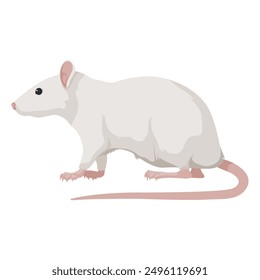 Sitting Rat front view. Rat isolated on white background. Rat icon Vector illustration